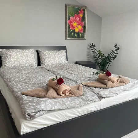 Ii W Centrum - Winda - 50 Metrow Od Starego Rynku Daire *