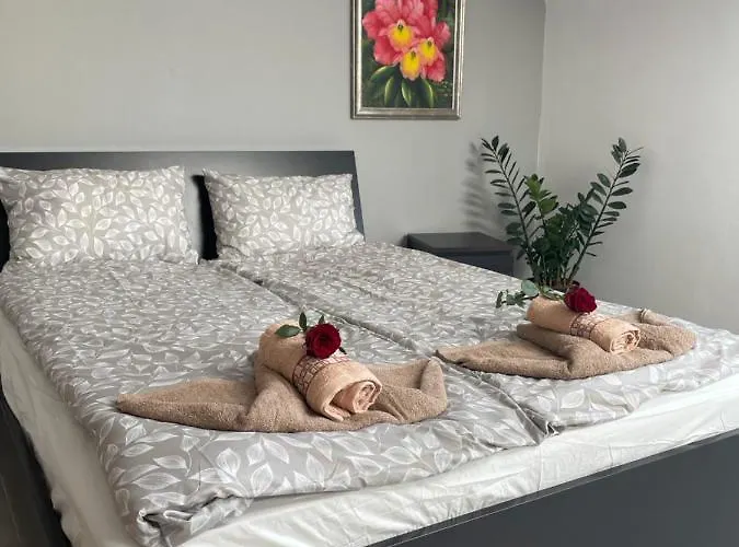 Ii W Centrum - Winda - 50 Metrów Od Starego Rynku Apartament *